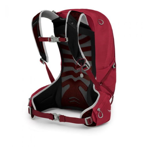 Osprey - Talon 22 - immagine 9