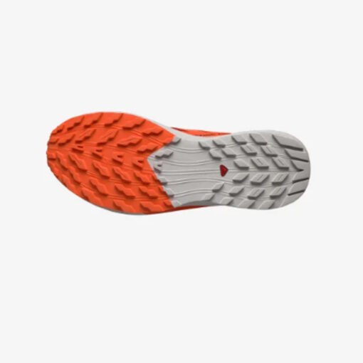 Salomon - Sense Ride 5 Uomo - immagine 6