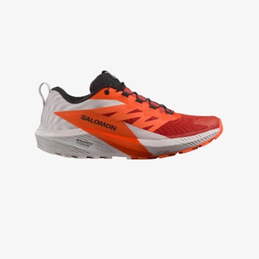 Salomon - Sense Ride 5 Uomo