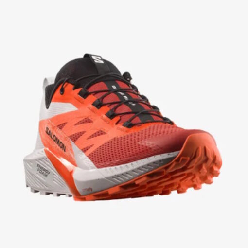 Salomon - Sense Ride 5 Uomo - immagine 4