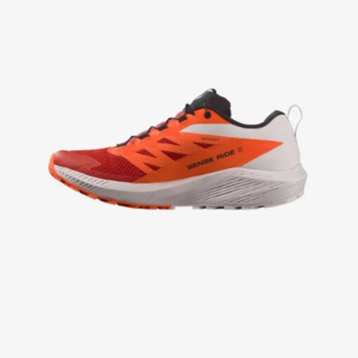 Salomon - Sense Ride 5 Uomo - immagine 2