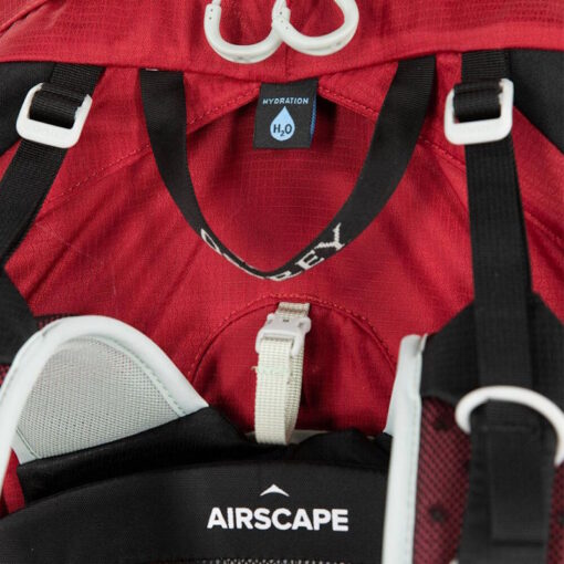 Osprey - Talon 36 - immagine 7