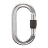 Black Diamond - Moschettone Oval Keylock Screwgate