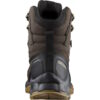 Salomon - Quest Element GoreTex Uomo - immagine 3